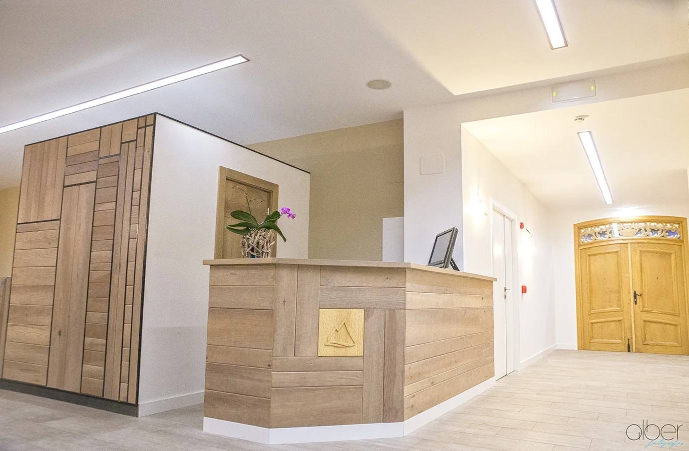 Recepción de madera clara